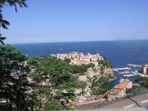 The whole Rock of Monaco viewed from the Jardin Exotique