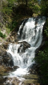 Waterfall close to Saint Dalmas le Selvage in the upper Tinée valley