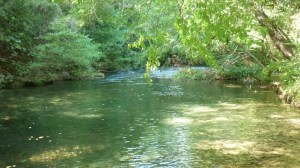 Slightly inland -  a lovely picnic on the banks of the Siagne river, close to Grasse
