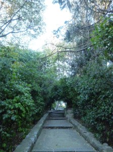 One of the beautiful footpaths winding their way up the Castle Hill