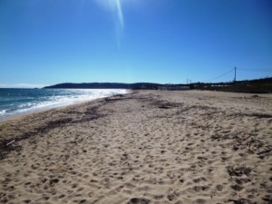 Clean-up quickly required for the tourist season!