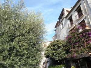 The refinement and beautiful architecture give St Paul its wonderful character