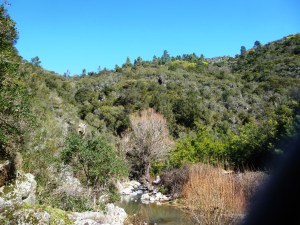 The somewhat barren Aubarie river valley