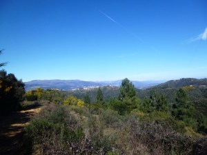 The view towards the north-east from the picnic stop