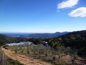 A great view looking south-west towards the Esterel mountains and the Mediterranean