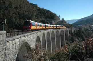 le-train-des-pignes-et