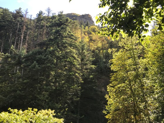 FRB - La Brigue Notre Dame - 1 of 54 (30)